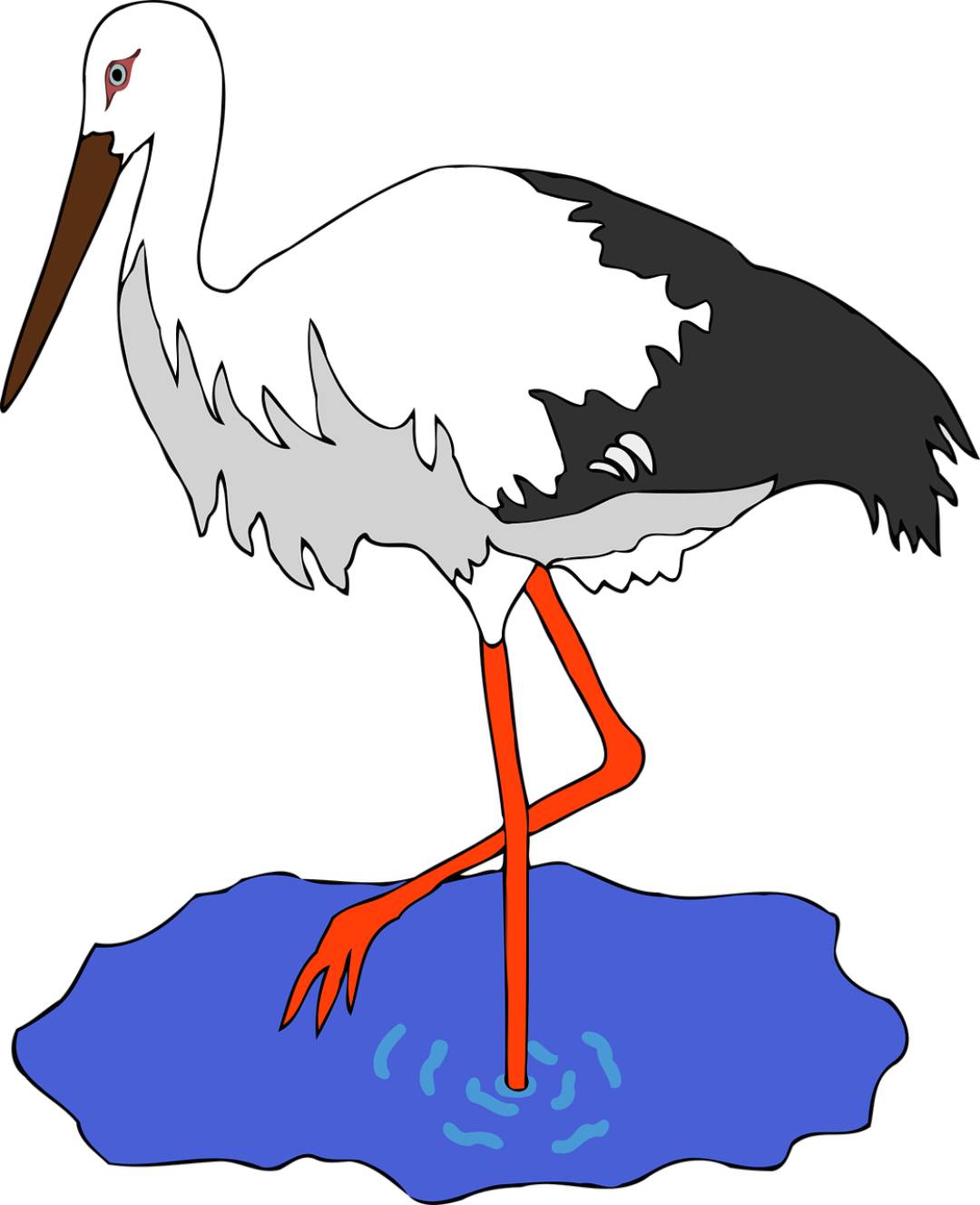 cigüeña