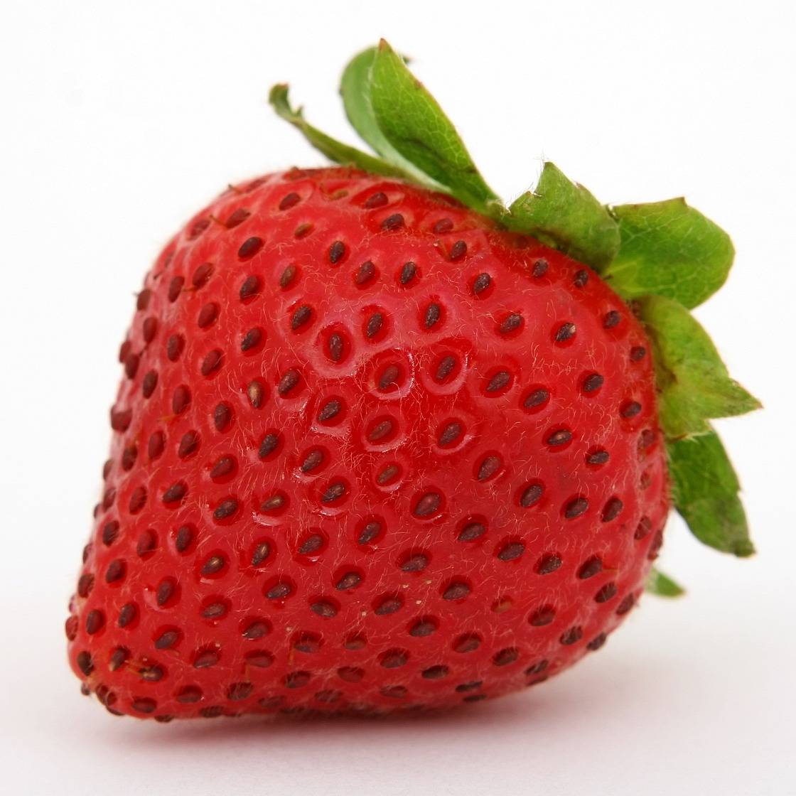 fresa