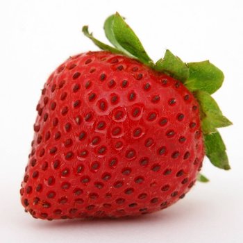 fresa