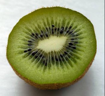 kiwi