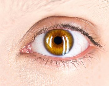 ojo
